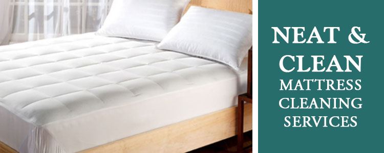 Neat & Clean Mattress Cleaning Adelaide Lead