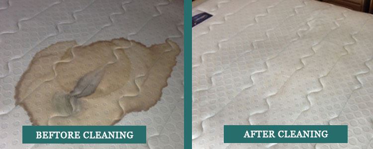 Mattress Cleaning and Stain Removal Collins Street West