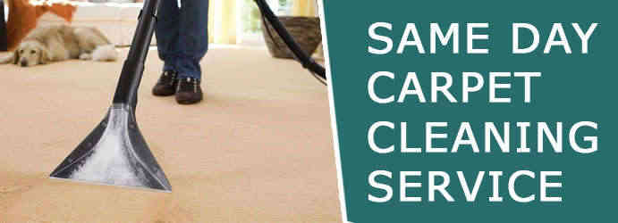 Same Day Carpet Cleaning Services