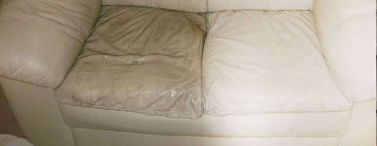 Leather Couch Cleaning Service Greenway