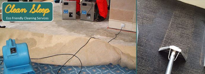 Carpet Water Damaged Restoration