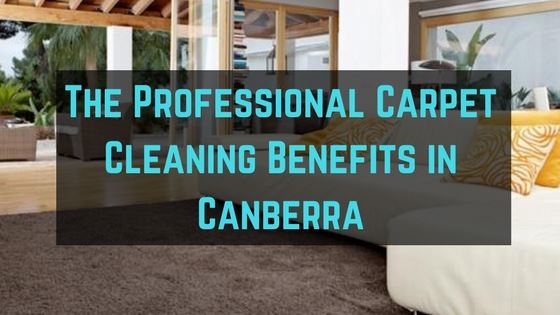 carpet cleaning benefits