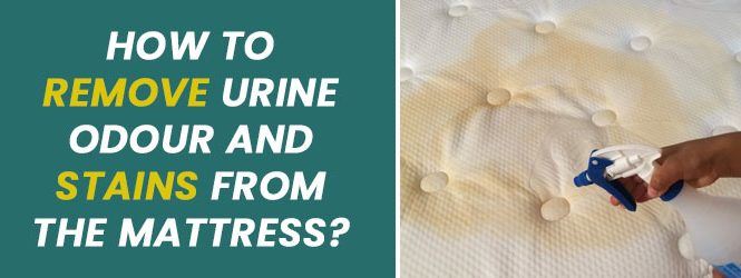 Remove Urine Stains from the Matrress