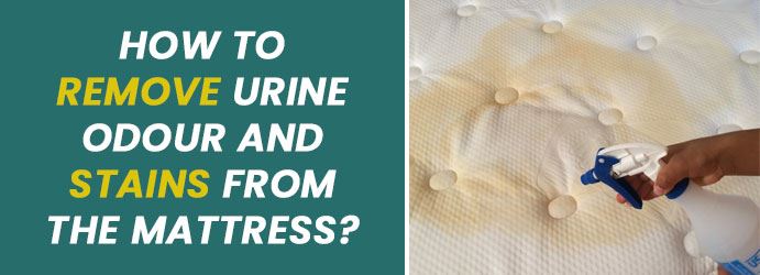 Remove Urine Stains from the Matrress