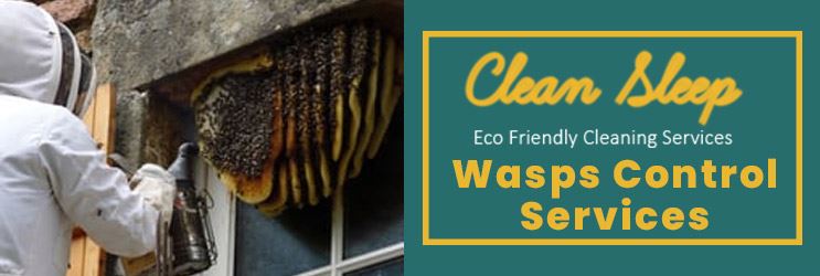 Wasps Control Services