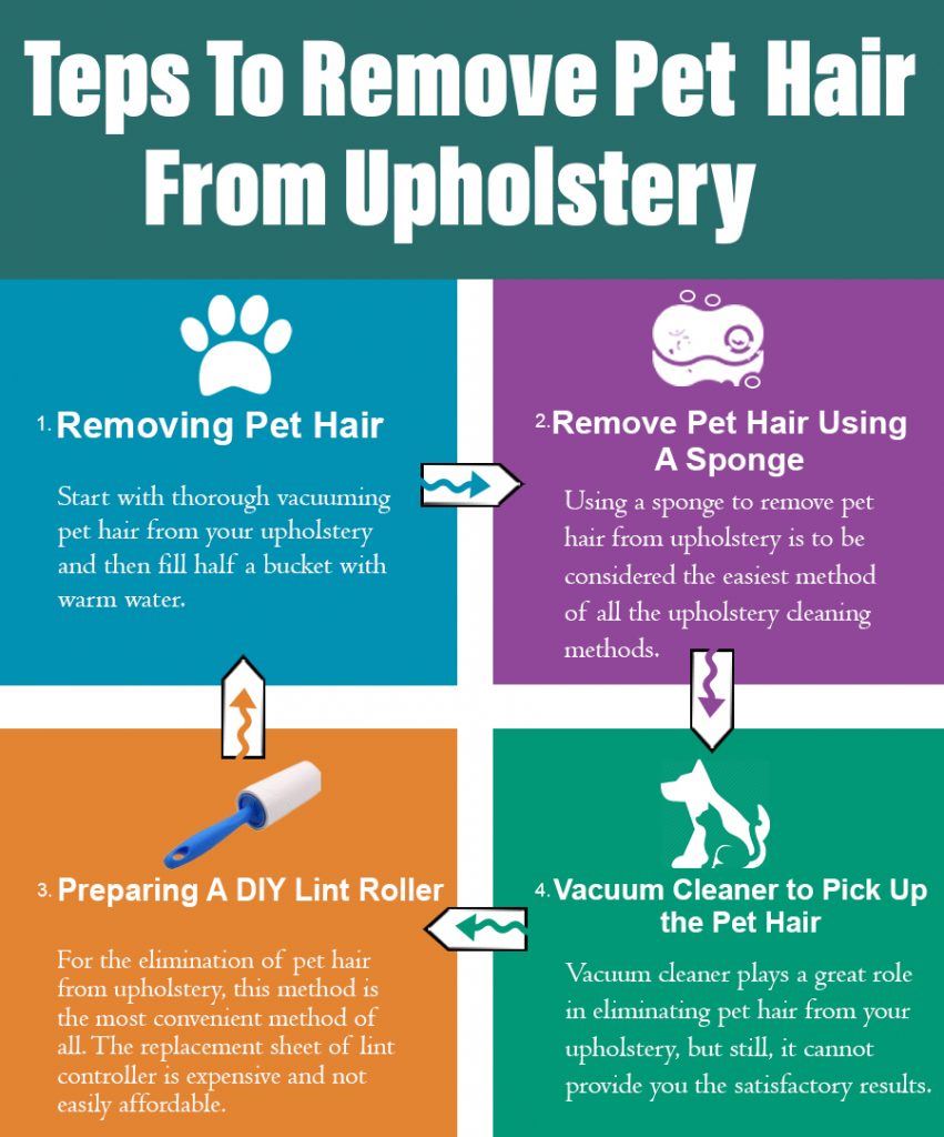 how to remove pet hair from upholstery