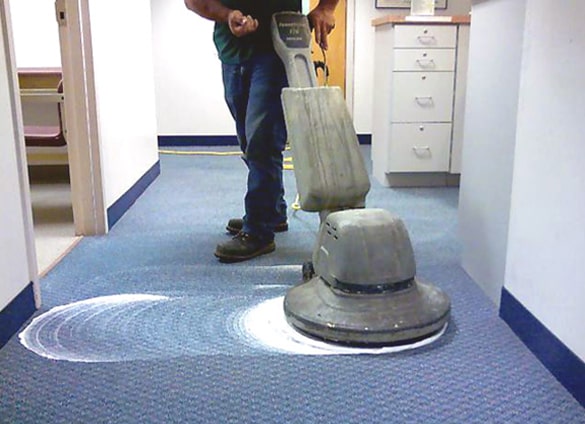 Carpet Cleaning Tranmere
