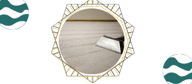 Carpet Sanitization and Deodorization Doubleview