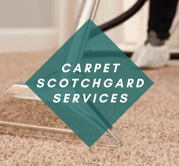 Same Day Carpet Cleaning Services