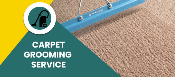 Carpet Grooming Service