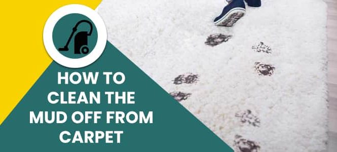 How to Clean The Mud Off from Carpet