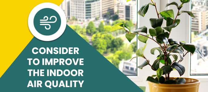 Consider to Improve The Indoor Air Quality