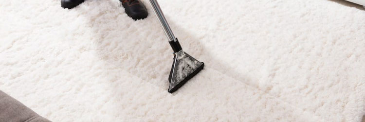 End of Lease Carpet Cleaning Services
