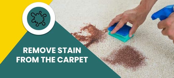 Remove Stain From The Carpet
