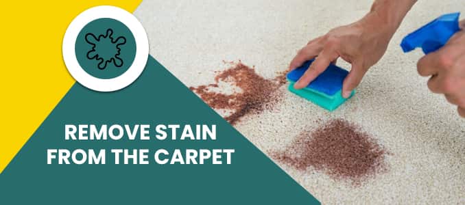 Remove Stain From The Carpet