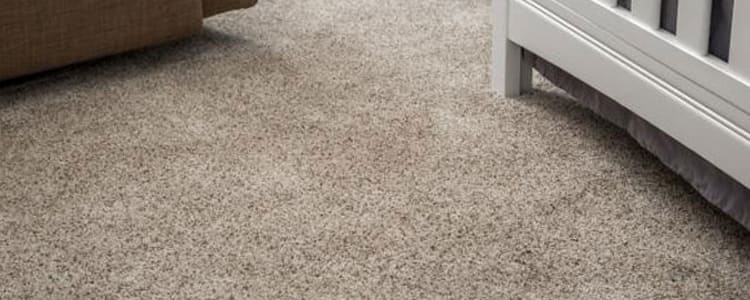 Best Carpet Cleaning Services (4)