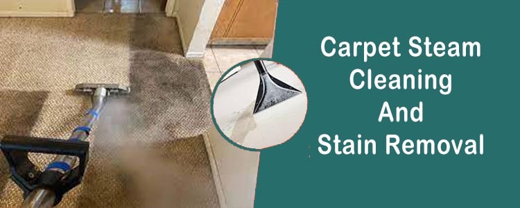 Carpet Steam Cleaning & Stain Removal