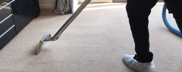 Professional Carpet Cleaning (3)