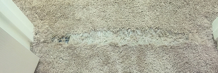 carpet repair launceston