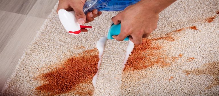 Carpet Stain Removal Adelaide