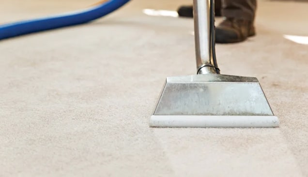 efficient carpet cleaning process in brisbane